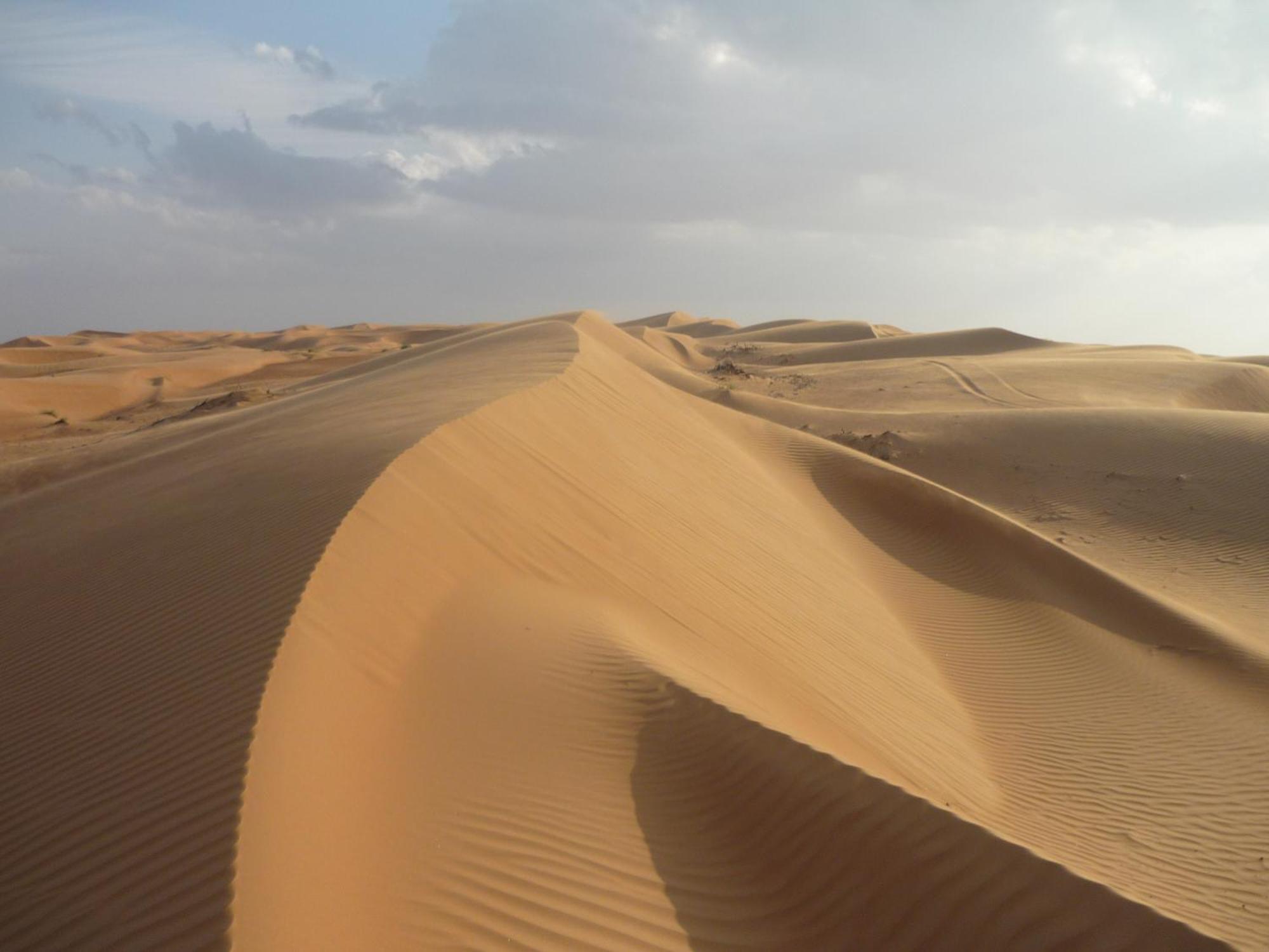 Desert Retreat Camp Al Wāşil Dış mekan fotoğraf